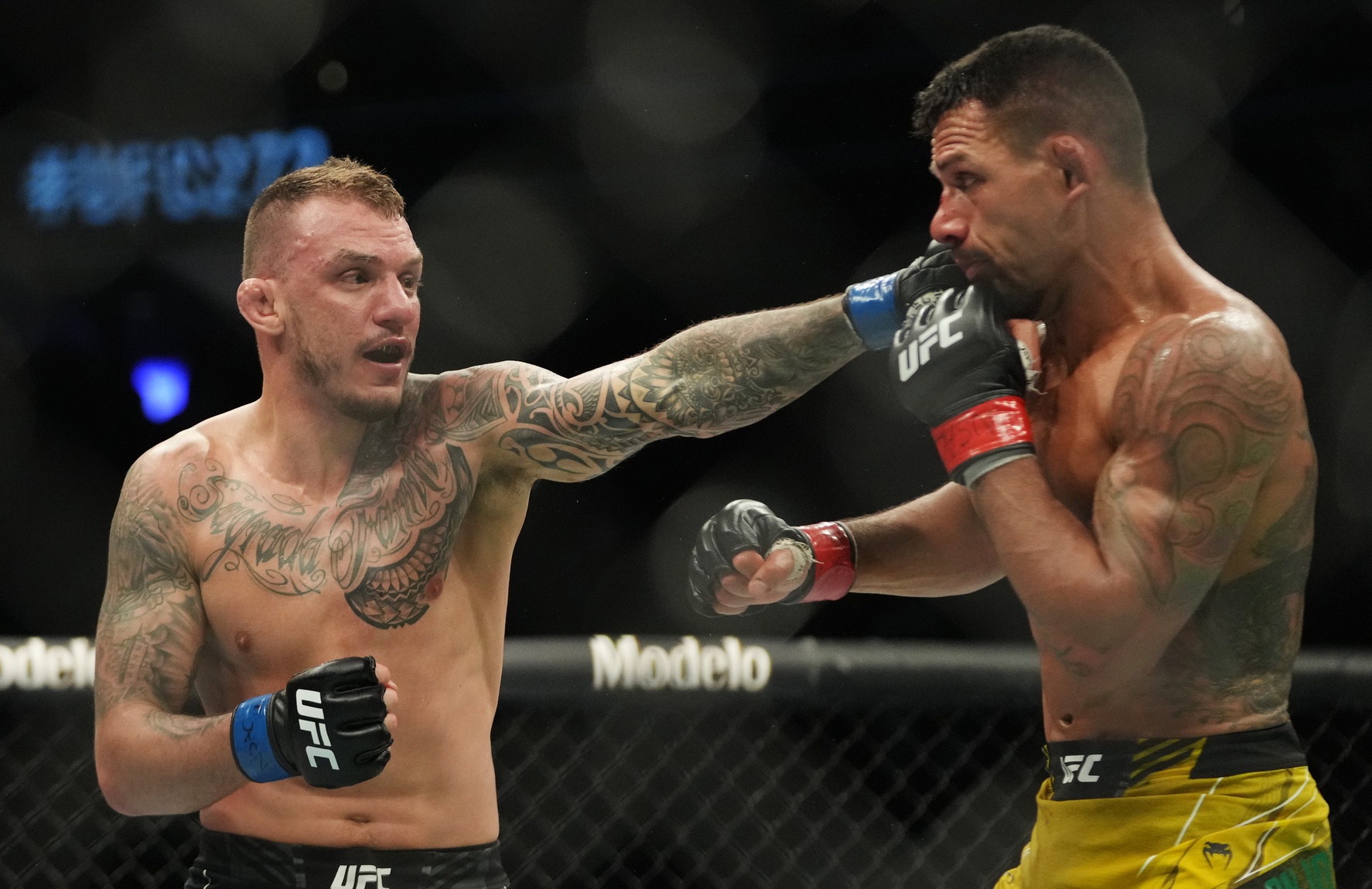 Brad Riddell vs Renato Moicano Pick, 11/12/2022 Predictions UFC 281 Odds