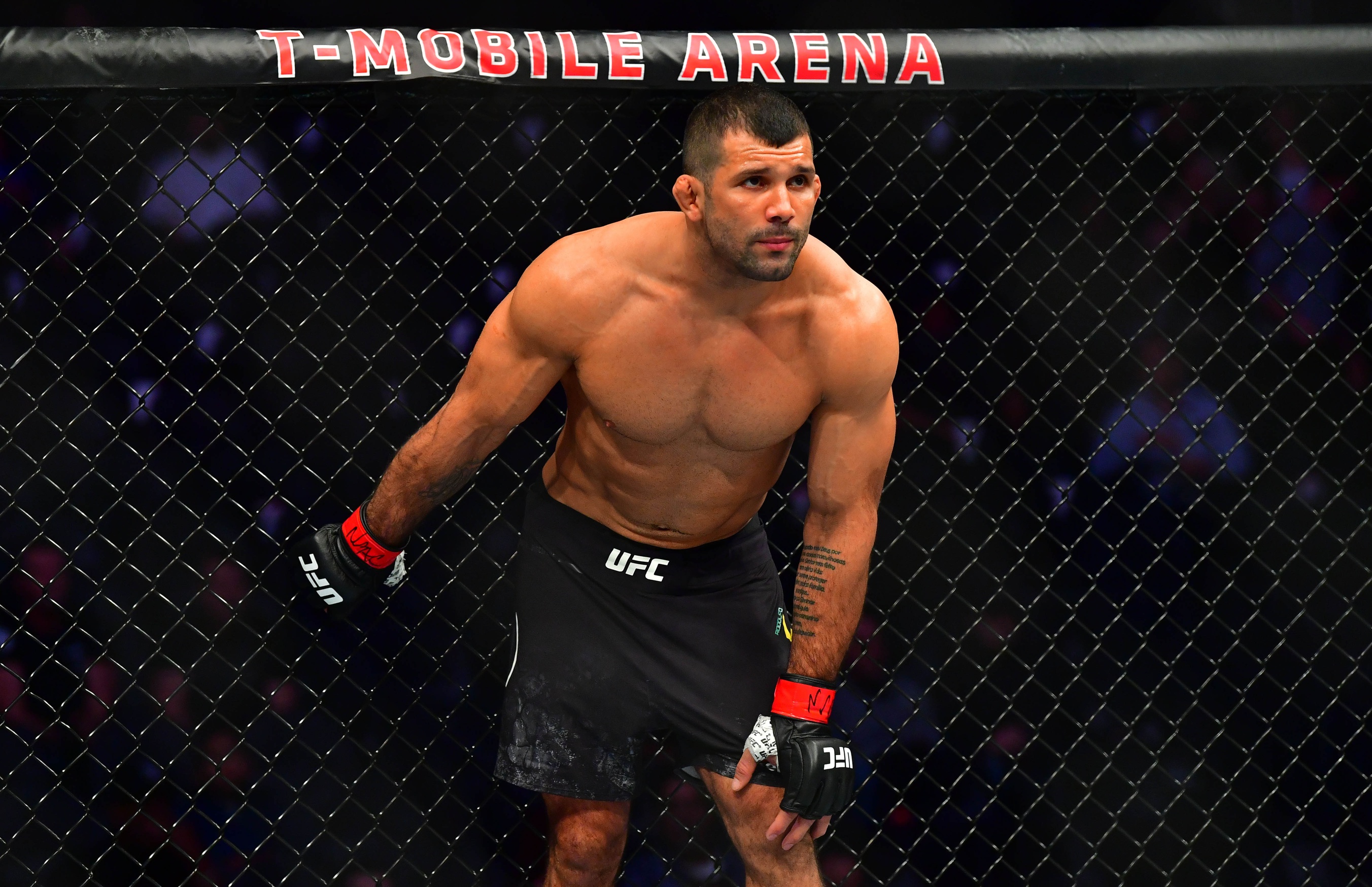 ufc picks Rodolfo Vieira ufc predictions best bet odds