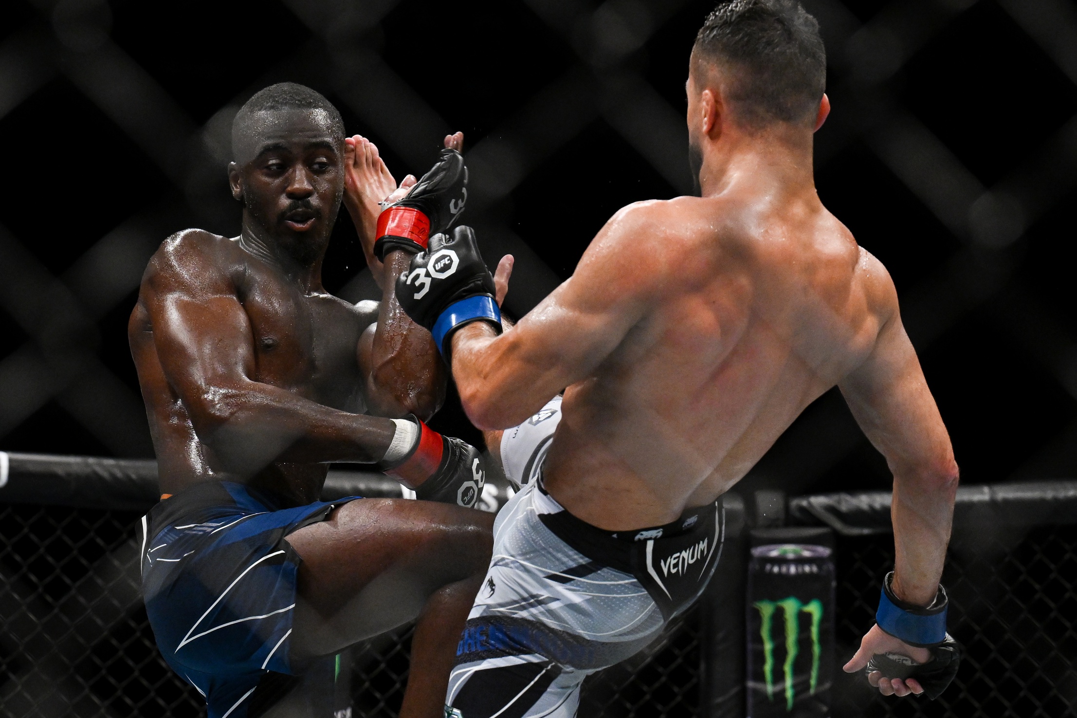 William Gomis vs Joanderson Brito Pick, 9/28/2024 Predictions UFC Paris Odds