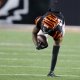 Cincinnati Bengals wide receiver Tee Higgins