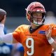 nfl picks Joe Burrow Cincinnati Bengals predictions best bet odds