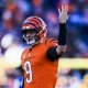 NFL survivor pool picks Week 14 Joe Burrow Cincinnati Bengals