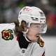 nhl picks Tyler Bertuzzi Chicago Blackhawks nhl picks