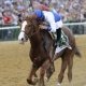 Preakness Stakes winner Shackleford